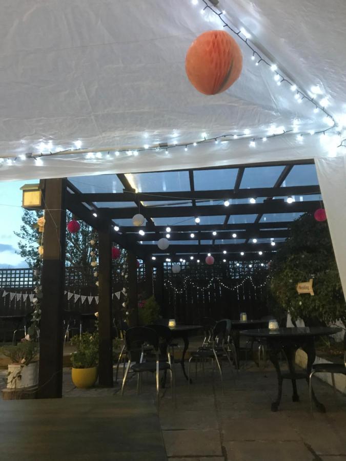 Albion Boutique Guest House Σάντερλαντ Εξωτερικό φωτογραφία