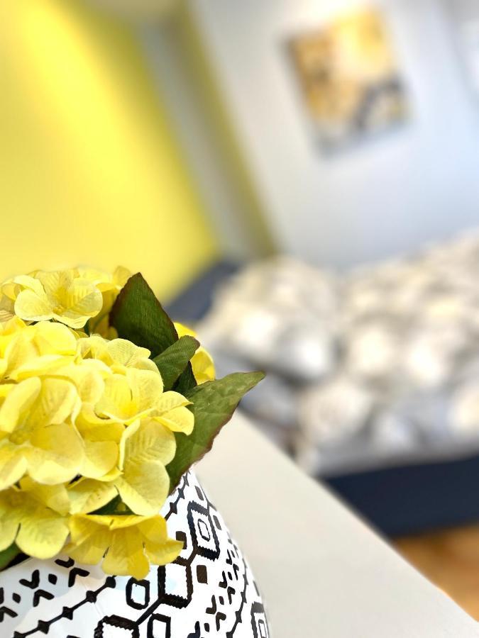 Albion Boutique Guest House Σάντερλαντ Εξωτερικό φωτογραφία